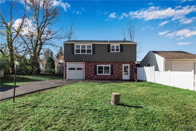 Lake Erie Home For Sale in Lake View New York