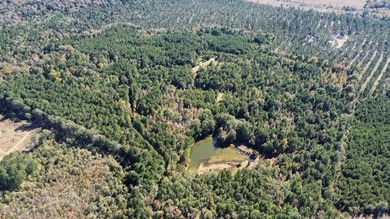 (private lake, pond, creek) Acreage For Sale in Hermitage Arkansas