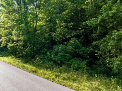Lake Acreage For Sale in Wallingford, Kentucky