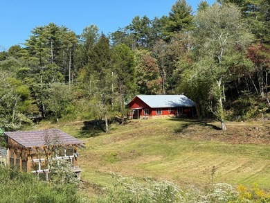 (private lake, pond, coastal) Home For Sale in Marble North Carolina