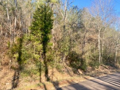 Lake Acreage For Sale in Tylertown, Mississippi