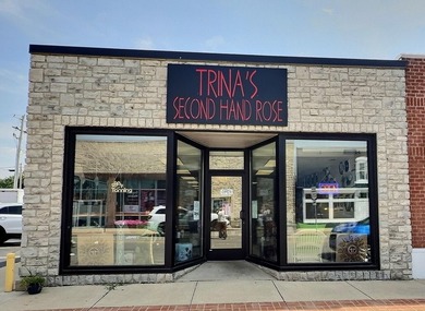 Indian Lake Commercial For Sale in Lakeview Ohio