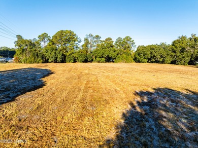 RARE DOUBLE PARCEL OPPORTUNITY: Prime 4.46 Acres in Beaufort - photo 11