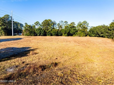 RARE DOUBLE PARCEL OPPORTUNITY: Prime 4.46 Acres in Beaufort - photo 13