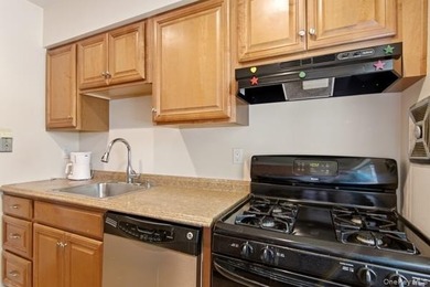 Prime Huntington Village location! Welcome to Heckscher Park - photo 14