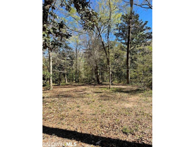 Lot 6 of Van Antwerp Park. Van Antwerp Park is an 11 acre - photo 3