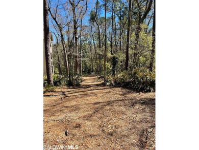 Lot 6 of Van Antwerp Park. Van Antwerp Park is an 11 acre - photo 7