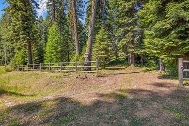 RARE INVESTMENT in ROYAL SCOT DEVELOPMENT!!! 3 parcels totaling - photo 5