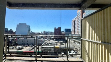 Spacious ~ 1,000 sq ft 1BR in prime Flushing 1BR with lots - photo 13