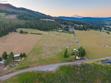 This 49-acre estate in the Columbia Gorge National Scenic Area - photo 14