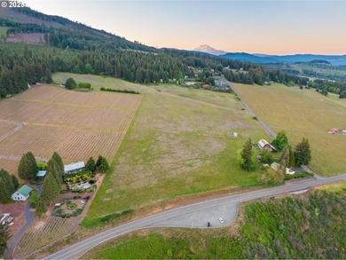 This 49-acre estate in the Columbia Gorge National Scenic Area - photo 15