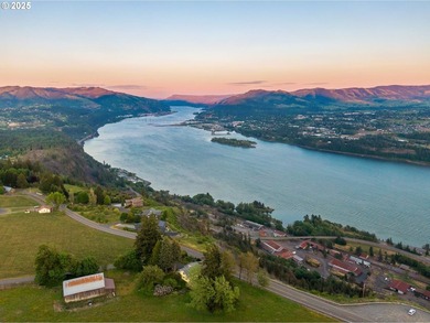 This 49-acre estate in the Columbia Gorge National Scenic Area - photo 17