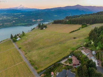 This 49-acre estate in the Columbia Gorge National Scenic Area - photo 20