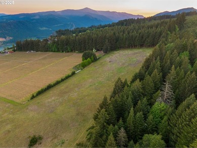 This 49-acre estate in the Columbia Gorge National Scenic Area - photo 22