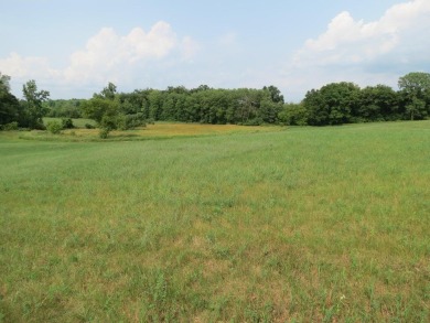 Lake Acreage For Sale in Jackson, Michigan