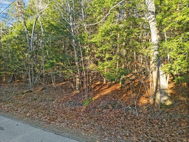 Wooded 10.4 Acre Lot on Bryant Road, Unity ME (Lot 3-1)! Secure - photo 2