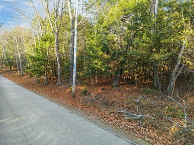 Wooded 10.4 Acre Lot on Bryant Road, Unity ME (Lot 3-1)! Secure - photo 4