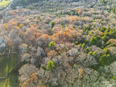 Wooded 10.4 Acre Lot on Bryant Road, Unity ME (Lot 3-1)! Secure - photo 6