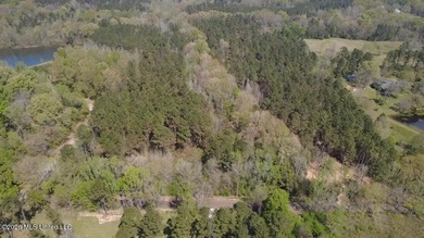 Beautiful 16.89+/- surveyed acre tract located near the Ratliff - photo 1