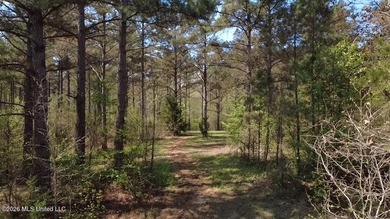 Beautiful 16.89+/- surveyed acre tract located near the Ratliff - photo 3