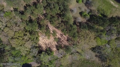 Beautiful 16.89+/- surveyed acre tract located near the Ratliff - photo 4