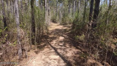 Beautiful 16.89+/- surveyed acre tract located near the Ratliff - photo 5