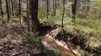 Beautiful 16.89+/- surveyed acre tract located near the Ratliff - photo 6