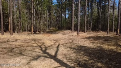 Beautiful 16.89+/- surveyed acre tract located near the Ratliff - photo 7