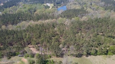 Beautiful 16.89+/- surveyed acre tract located near the Ratliff - photo 8