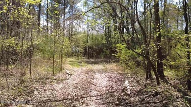 Beautiful 16.89+/- surveyed acre tract located near the Ratliff - photo 9