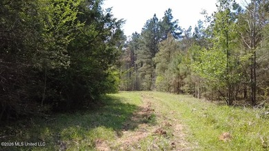 Beautiful 16.89+/- surveyed acre tract located near the Ratliff - photo 10