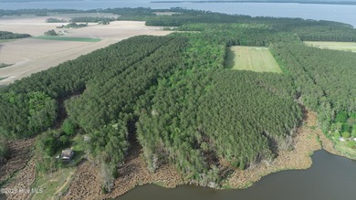 Pungo River - Beaufort County Acreage For Sale in Bath North Carolina