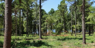 Great Big Lot In Cypress Pointe! SOLD - Lake Lot SOLD! in Hemphill, Texas