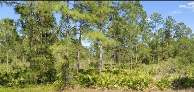 Lehigh Acres Area Lot Sale Pending in Lehigh Acres Florida