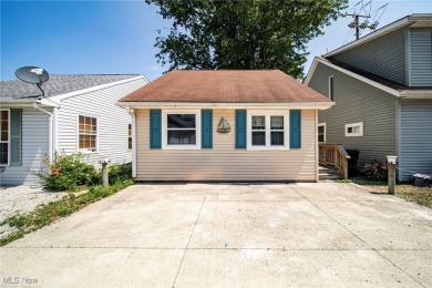 Lake Erie - Ashtabula County Home For Sale in Ashtabula Ohio