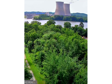 (private lake, pond, creek) Lot For Sale in Decatur Tennessee