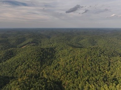 This is a one of a kind property... the kind that doesn't come - photo 2