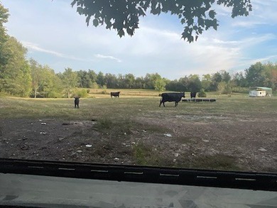 This is a one of a kind property... the kind that doesn't come - photo 4
