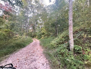 This is a one of a kind property... the kind that doesn't come - photo 6