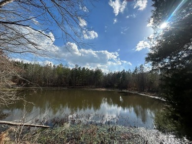 Lake Acreage For Sale in Other, Mississippi