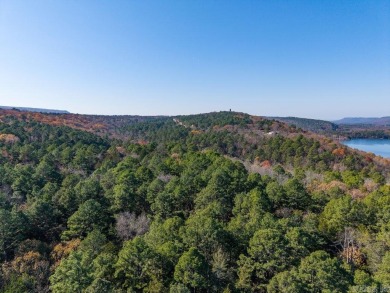 Lake Acreage For Sale in Paris, Arkansas