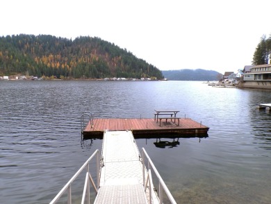 Lake Lot For Sale in Loon Lake, Washington