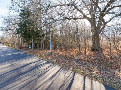 Rare opportunity to purchase 2 lots totaling 4.98 acres of flat - photo 4
