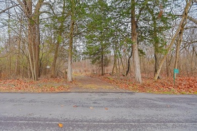 Rare opportunity to purchase 2 lots totaling 4.98 acres of flat - photo 5