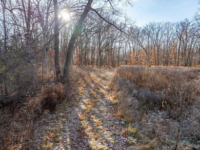 Rare opportunity to purchase 2 lots totaling 4.98 acres of flat - photo 6