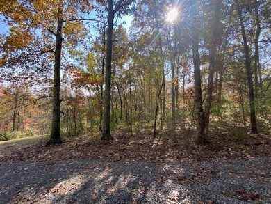 (private lake, pond, creek) Acreage For Sale in Brooksville Kentucky