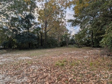 Great opportunity to build in Savannah's growing westside! This - photo 3