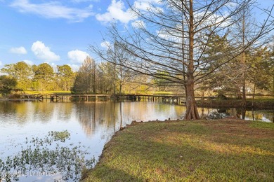 Priced over $70,000 under appraised value!!!! 100% USDA - photo 4