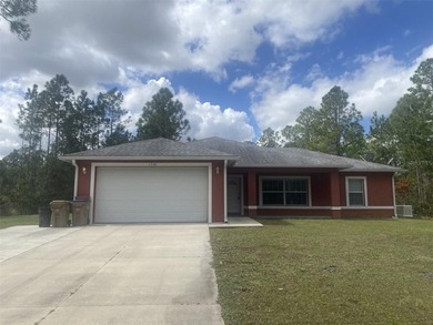 (private lake, pond, coastal) Home For Sale in ST Cloud Florida