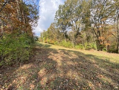 (private lake, pond, creek) Acreage For Sale in Brooksville Kentucky